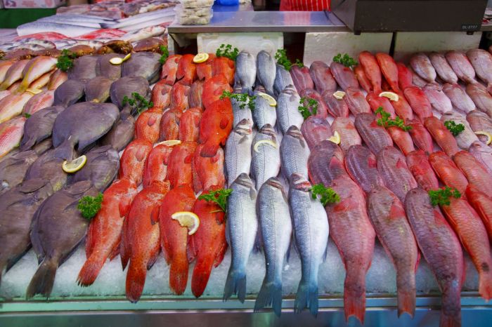 Cara Berjualan Ikan Segar, Panduan Langkah demi Langkah