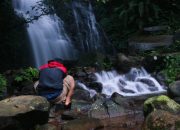 Cek Harga Tiket Masuk Curug Cipurut Purwakarta, Murah Meriah!