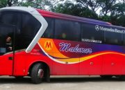 Cek Harga Tiket Bus Makmur Medan-Pekanbaru, Lengkap dan Update!