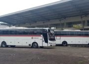 Harga Tiket Bus Primajasa Jakarta Cirebon, Bepergian Nyaman Harga Terjangkau