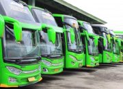 Cek Harga Tiket Bus Puspa Jaya Lampung Bali, Murah dan Nyaman!