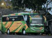 Harga Tiket Bus Family Raya, Nyaman dan Terjangkau