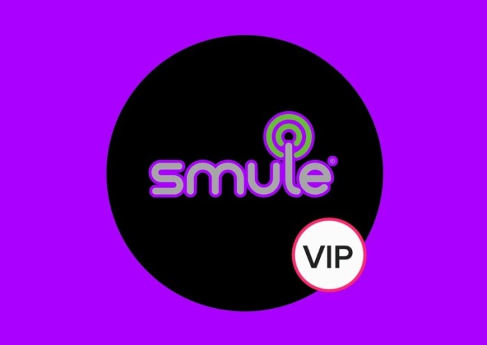 Cara bisnis jasa vip smule