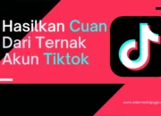 Cara Cuan dari Google, Rahasia Sukses Menghasilkan Uang Online dengan Strategi Terbukti, Mulai Sekarang!