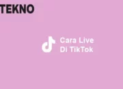 Cara Cuan Live TikTok, Rahasia Sukses Menghasilkan Uang dengan Konten Menarik dan Interaktif Tanpa Ribet