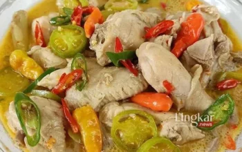 Resep Garang Asem Ayam Tanpa Daun, Mudah Dibuat dan Tetap Lezat untuk Santapan Keluarga Istimewa