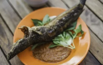 Resep Lele Goreng Kriuk dan Gurih, Rahasia Bikin Masakan Rumahan Jadi Favorit Keluarga Tanpa Ribet