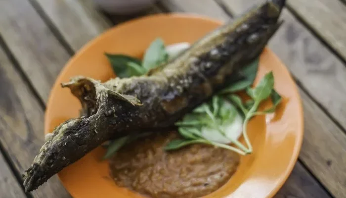 Resep Lele Goreng Kriuk dan Gurih, Rahasia Bikin Masakan Rumahan Jadi Favorit Keluarga Tanpa Ribet