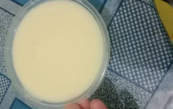 Resep Vla Puding Tanpa Telur, Lembut dan Nikmat untuk Camilan Sehat Keluarga, Mudah Dibuat dalam 15 Menit!