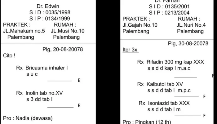 Resep 1-0-0, Rahasia Sukses Masakan Sempurna, Mudah Dipraktikkan untuk Hasil yang Selalu Memuaskan