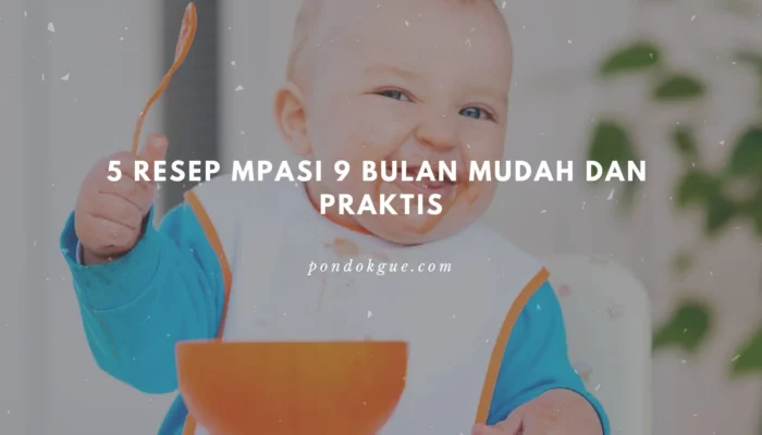 Resep MPASI 9 Bulan Terbaik untuk Tumbuh Kembang Optimal, Mudah Dibuat dan Kaya Nutrisi