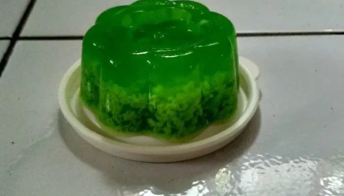 Resep Agar-Agar Lumut yang Lembut dan Unik, Cocok untuk Camilan Sehat Keluarga dengan Cita Rasa Segar dan Menyegarkan