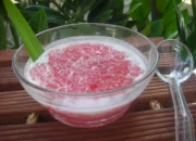 Resep Agar-Agar Mutiara Santan, Lezat dan Segar untuk Camilan Keluarga yang Mudah Dibuat di Rumah