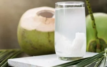 Resep Air Kelapa Segar, Rahasia Menyegarkan Tubuh dan Menyehatkan Kulit dengan Bahan Alami yang Mudah Dibuat di Rumah