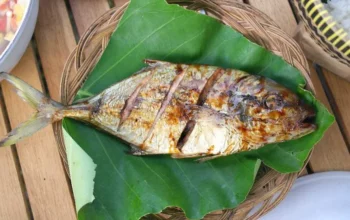 Resep Ikan Bakar Bumbu Meresap Sempurna, Rahasia Lezat dan Mudah untuk Santapan Keluarga Istimewa