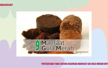 Resep Air Gula Merah untuk Kucing, Solusi Alami Tingkatkan Energi dan Kesehatan Peliharaan Anda dengan Cepat!