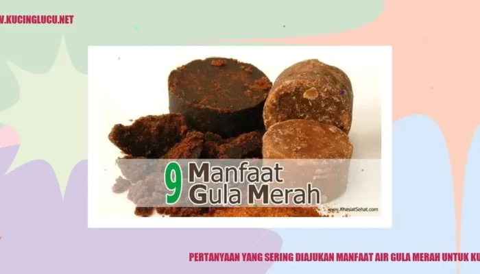 Resep Air Gula Merah untuk Kucing, Solusi Alami Tingkatkan Energi dan Kesehatan Peliharaan Anda dengan Cepat!