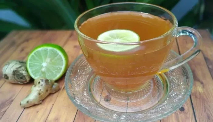 Resep Minuman Aquarium, Rahasia Membuat Minuman Sehat dan Menyegarkan untuk Ikan Kesayangan Anda dengan Mudah