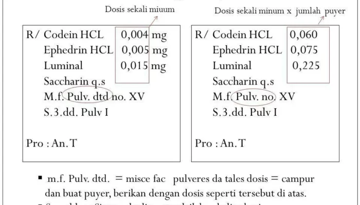 Resep CTM Puyer, Rahasia Ampuh Atasi Masalah Kulit dengan Bahan Alami, Praktis dan Terbukti Efektif