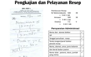 Arti Resep C1, Rahasia Sukses Menguasai Formulasi Bisnis, Solusi Praktis untuk Tingkatkan Produktivitas dan Keuntungan