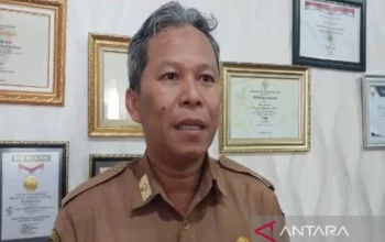 Resep DBD Ampuh, Solusi Alami dan Praktis untuk Tingkatkan Imun, Cegah Komplikasi, dan Pulih Lebih Cepat