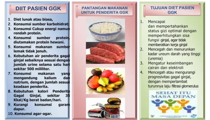 Contoh Resep DM yang Mudah Dicoba, Solusi Praktis untuk Hidangan Sehari-hari yang Lezat dan Menarik