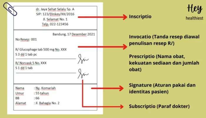 Resep DTD Pulv, Rahasia Praktis Membuat Obat Serbuk Alami untuk Kesehatan Optimal, Cepat dan Mudah Dicoba!