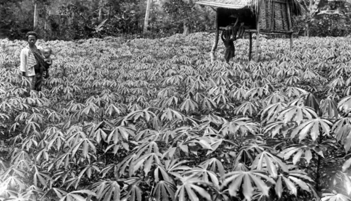 Resep Eyek Eyek Singkong Renyah dan Gurih, Camilan Tradisional yang Bikin Nagih dan Mudah Dibuat di Rumah