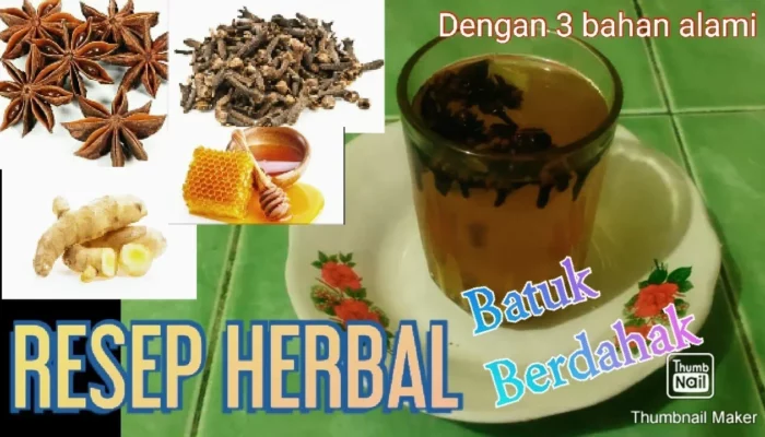 Resep Obat Alami Ampuh, Solusi Praktis untuk Atasi Berbagai Masalah Kesehatan dengan Bahan Rumahan