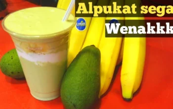 Resep Jus Alpukat Creamy dan Sehat, Rahasia Nikmatnya Bikin Ketagihan dalam 5 Menit!