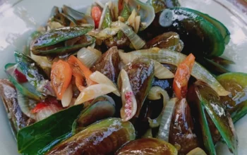 Resep Kerang Hijau Lezat dan Praktis, Rahasia Masakan Seafood yang Bikin Lidah Bergoyang