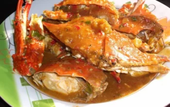 Resep Kepiting Saus Padang Lezat dan Mudah, Rahasia Bumbu Nikmat yang Bikin Lidah Bergoyang