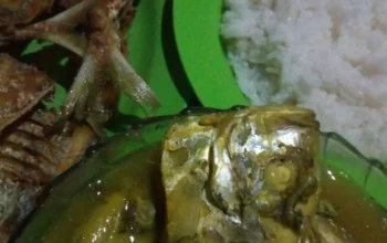 Resep Mrico Manyung Lezat dan Mudah, Rahasia Masakan Khas Pesisir yang Bikin Lidah Bergoyang