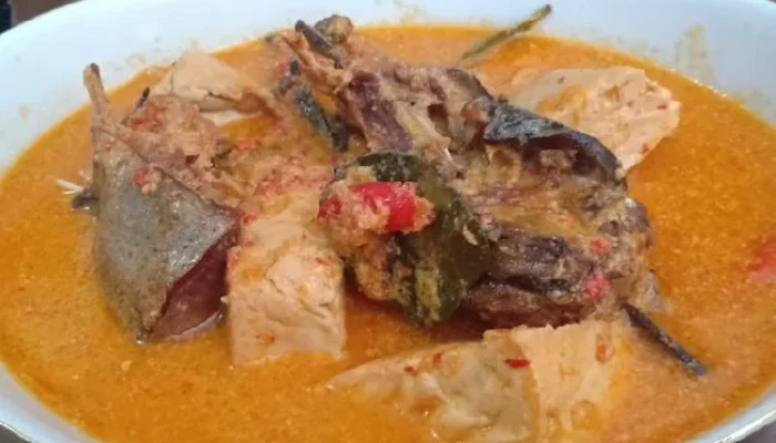 Resep Ndas Manyung Santan, Lezat dan Gurih ala Rumahan yang Bikin Ketagihan, Cocok untuk Menu Harian Spesial