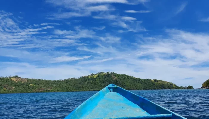 Resep Ombekuk Manado, Rahasia Lezat dan Mudah untuk Santapan Keluarga yang Menggugah Selera