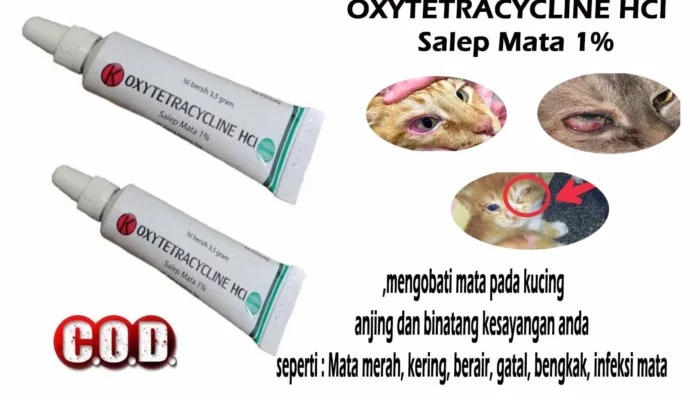 Resep Oxytetracycline untuk Kucing, Panduan Aman dan Efektif Atasi Infeksi dengan Cepat, Tanpa Ribet!