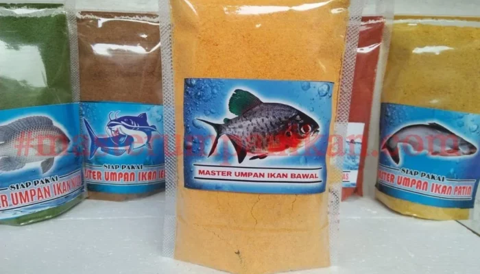 Resep Umpan Ikan Mas Terbaik, Rahasia Mancing Jitu untuk Hasil Tangkapan Melimpah Tanpa Ribet