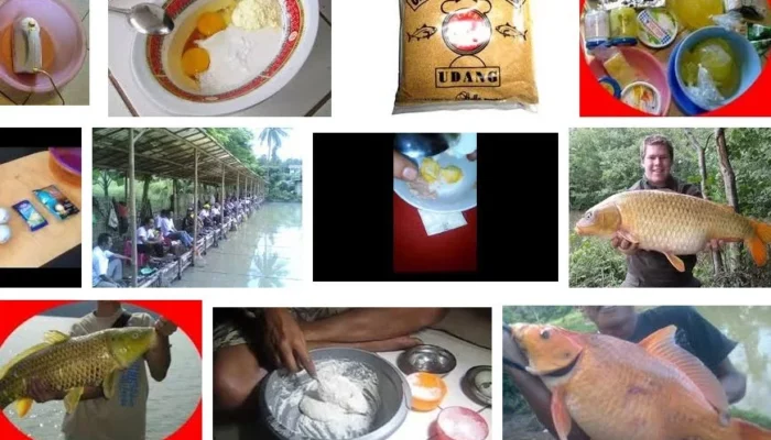 Resep Umpan Putih Ikan Mas Terbaik, Rahasia Mancing Jitu dan Hasil Melimpah Tanpa Ribet