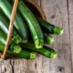 Resep Zucchini Lezat dan Praktis, Solusi Cerdas untuk Hidangan Sehat Keluarga dalam 30 Menit