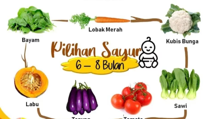 Resep Cemilan Bayi 13 Bulan Keatas, Ide Sehat dan Praktis untuk Tumbuh Kembang Optimal Si Kecil