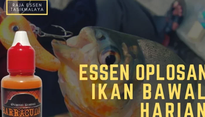 44 Resep Essen Oplosan Ikan Patin Terbaik, Rahasia Mancing Ampuh dan Hasil Tangkapan Melimpah Tanpa Ribet