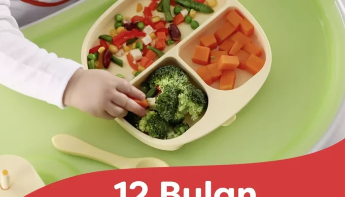 Resep MPASI 911, Panduan Lengkap untuk Makanan Bayi Bergizi, Praktis, dan Disukai Si Kecil