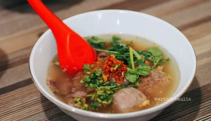 Resep Bakso Aan, Rahasia Kenyal dan Gurih ala Rumahan, Cocok untuk Pemula dan Pecinta Kuliner Autentik