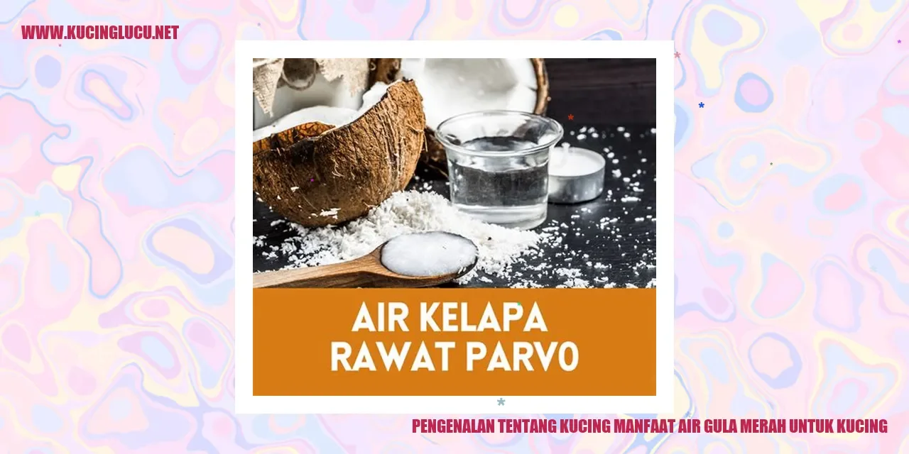 resep air gula merah untuk kucing