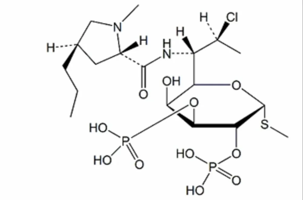 resep clindamycin