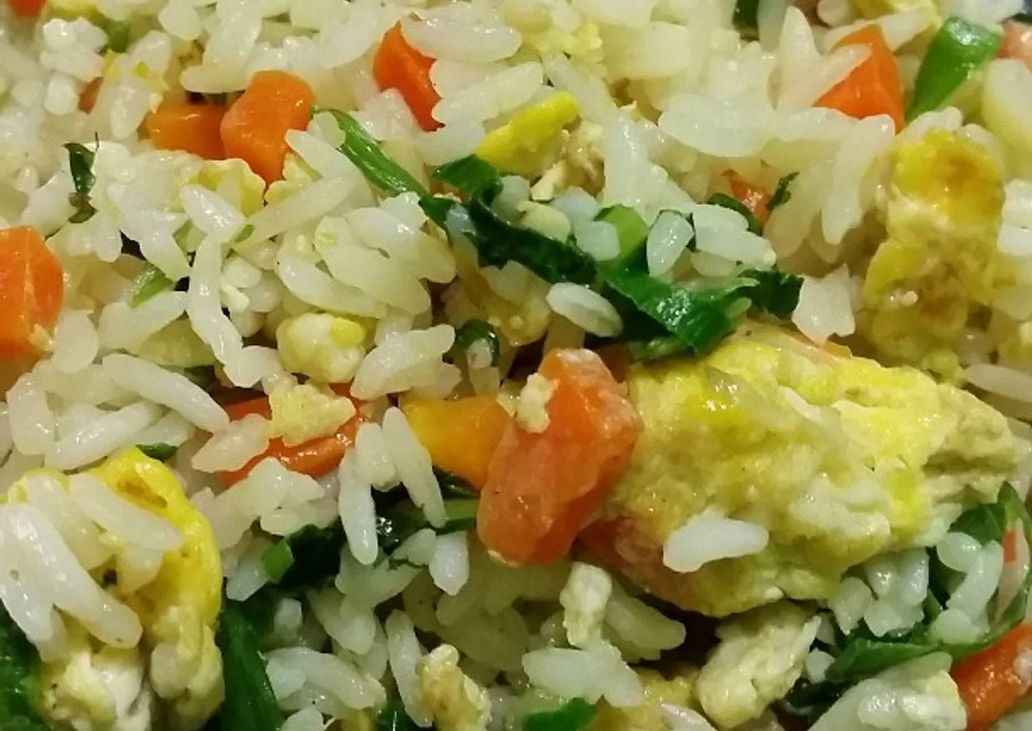 resep nasgor 69